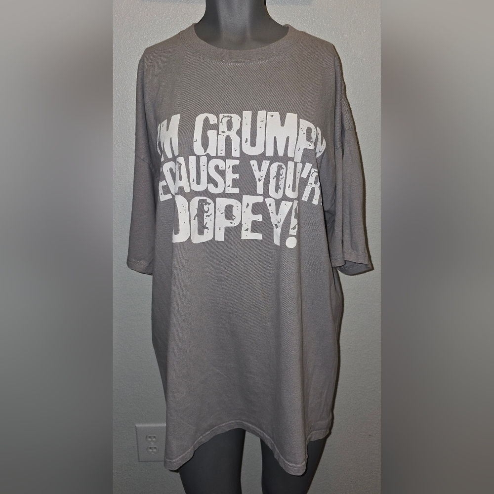 Disneyland Resort 2XL Mens I’M GRUMPY YOU’RE DOPEY Graphic T-shirt Gray GUC